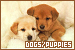 Dogs/Puppies