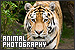 Photography/Photographers: Photography: Animal/Wildlife