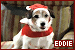 Frasier: Eddie