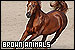 Brown Animals