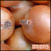 Onions