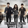 Twilight Saga: Breaking Dawn Part 1 & 2
