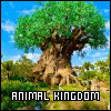 Walt Disney World: Animal Kingdom